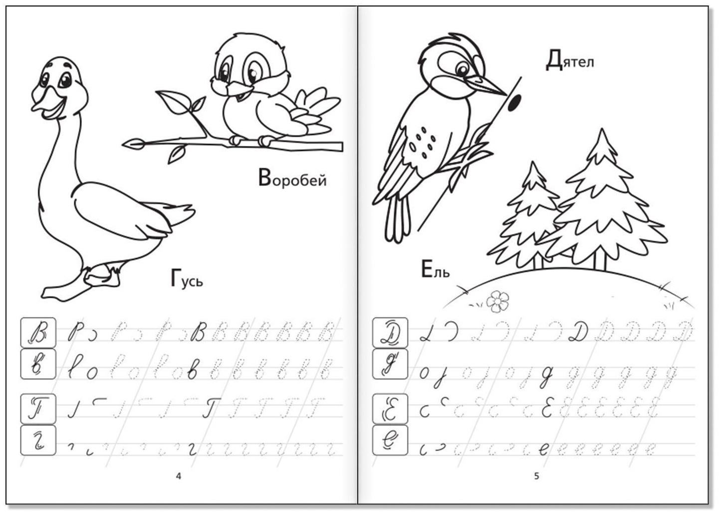 Раскраски-прописи набор «Развиваем руку», 4 шт. по 20 стр.
