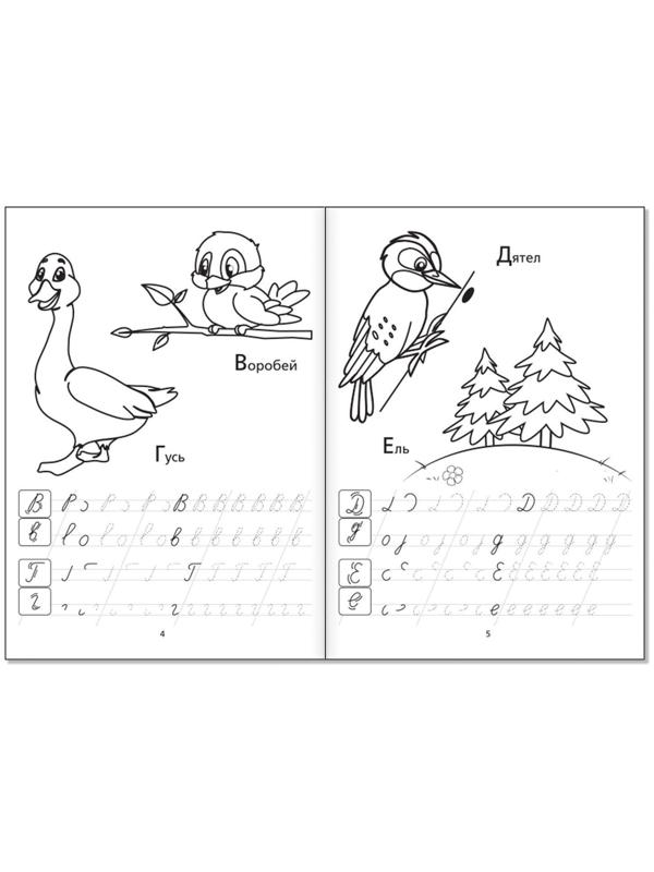 Раскраски-прописи набор «Развиваем руку», 4 шт. по 20 стр.