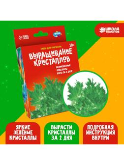 Набор для творчества «Лучистые кристаллы», цвет зелёный