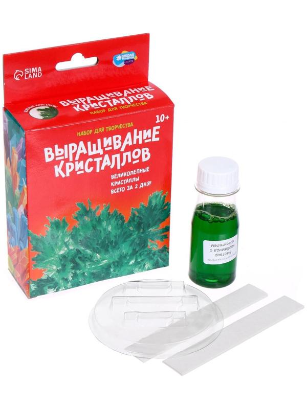 Набор для творчества «Лучистые кристаллы», цвет зелёный
