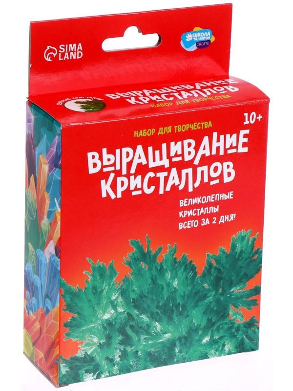 Набор для творчества «Лучистые кристаллы», цвет зелёный
