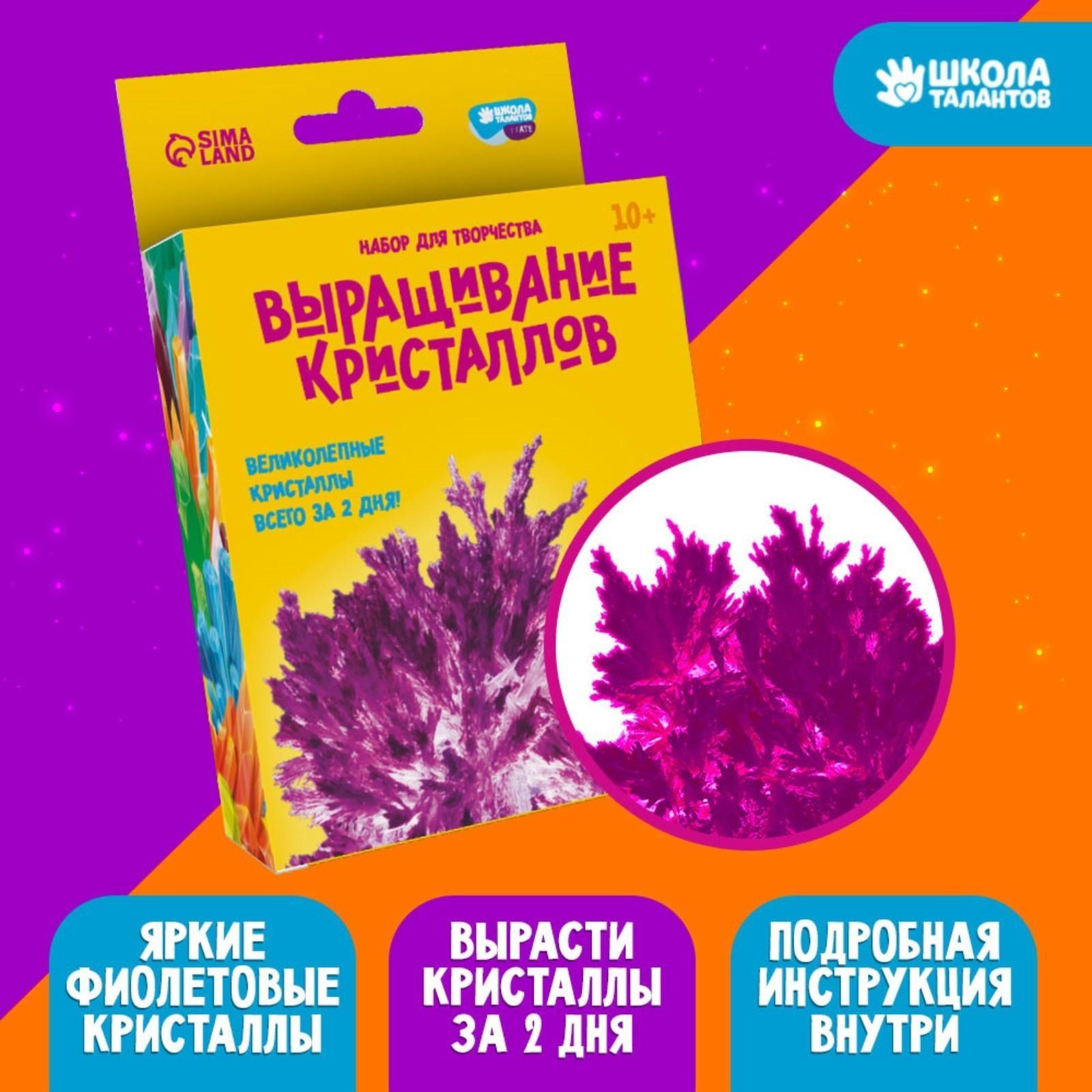 Набор для творчества «Лучистые кристаллы», цвет фиолетовый