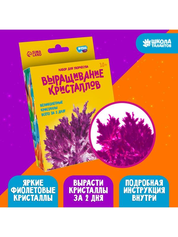 Набор для творчества «Лучистые кристаллы», цвет фиолетовый