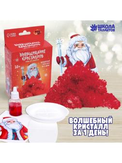 Набор для творчества «Лучистые кристаллы»: Дед Мороз, цвет красный