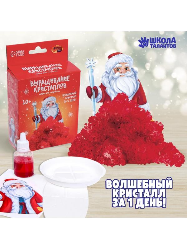 Набор для творчества «Лучистые кристаллы»: Дед Мороз, цвет красный