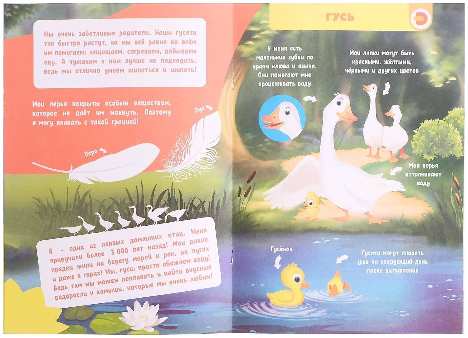 Мини-энциклопедия 4D «О чем думают животные»