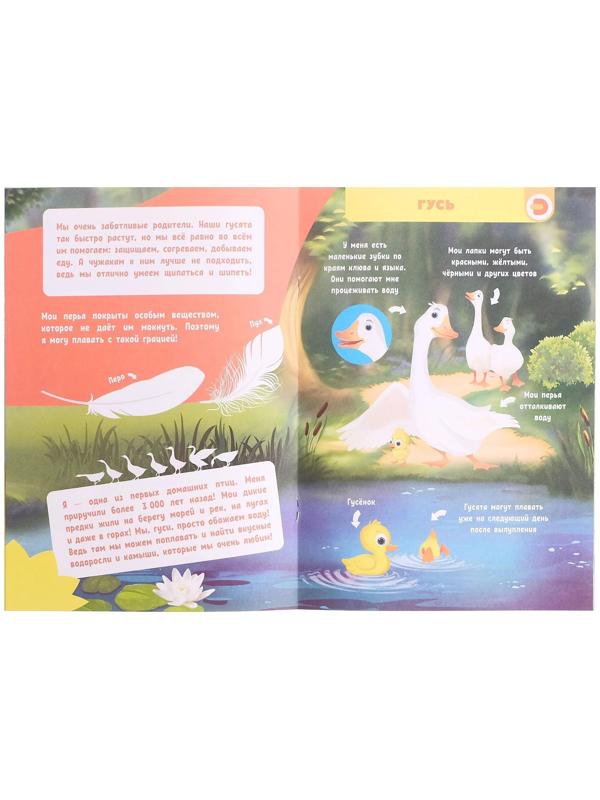 Мини-энциклопедия 4D «О чем думают животные»