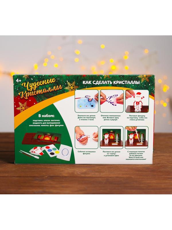 Набор для опытов «Чудесные кристаллы», Дед Мороз