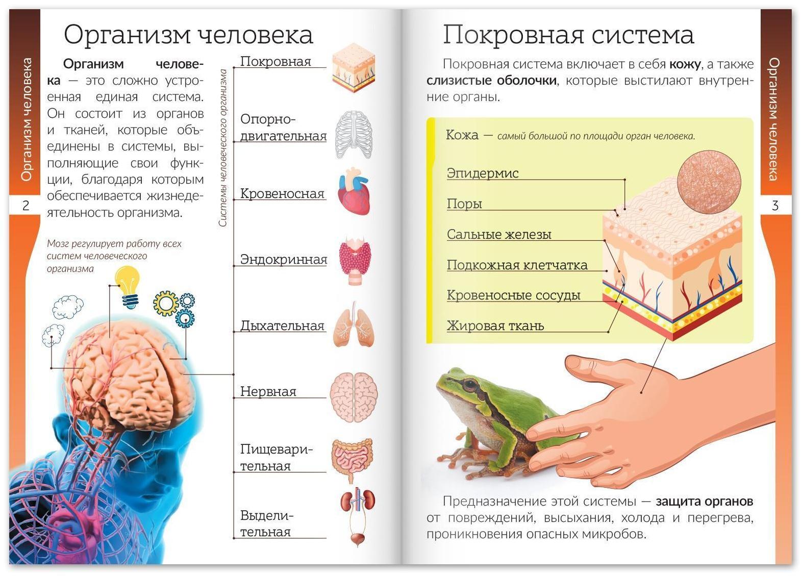 Набор книжек-шпаргалок «Мир природы и человека», 6 шт.