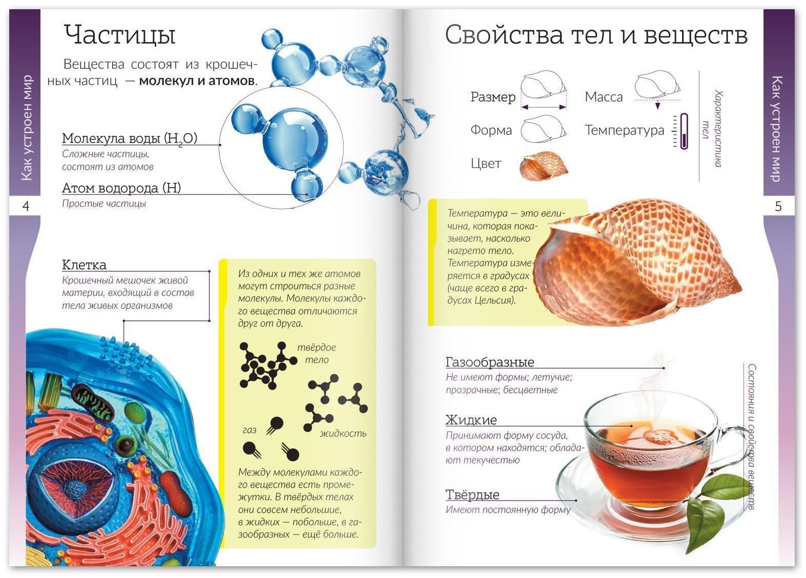 Набор книжек-шпаргалок «Мир природы и человека», 6 шт.