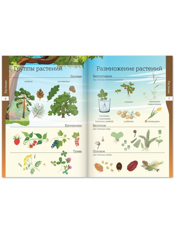 Набор книжек-шпаргалок «Мир природы и человека», 6 шт.