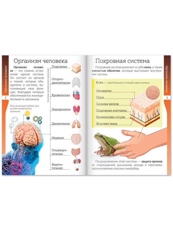 Набор книжек-шпаргалок «Мир природы и человека», 6 шт.