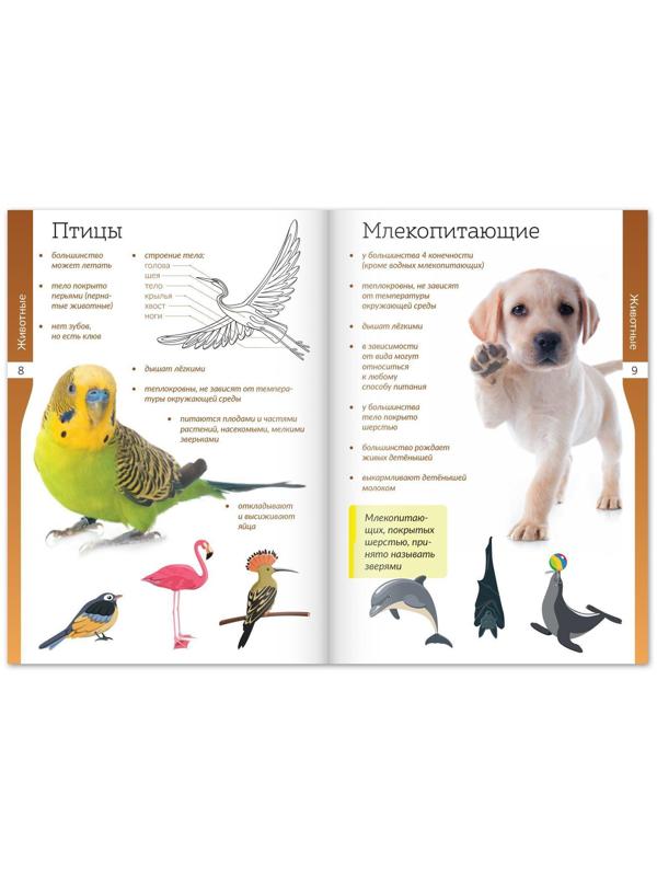 Набор книжек-шпаргалок «Мир природы и человека», 6 шт.