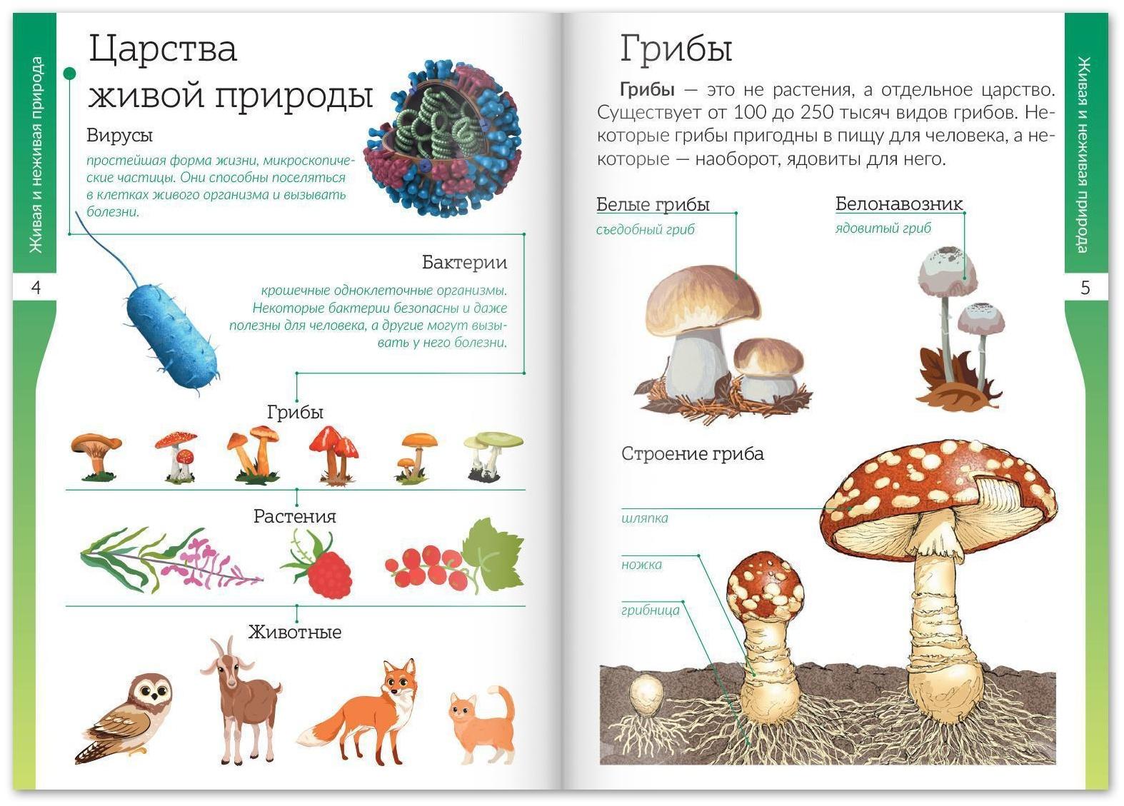 Набор книжек-шпаргалок «Знакомимся с окружающим миром», 6 шт.