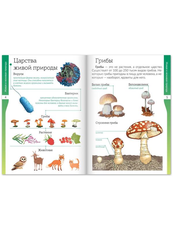 Набор книжек-шпаргалок «Знакомимся с окружающим миром», 6 шт.