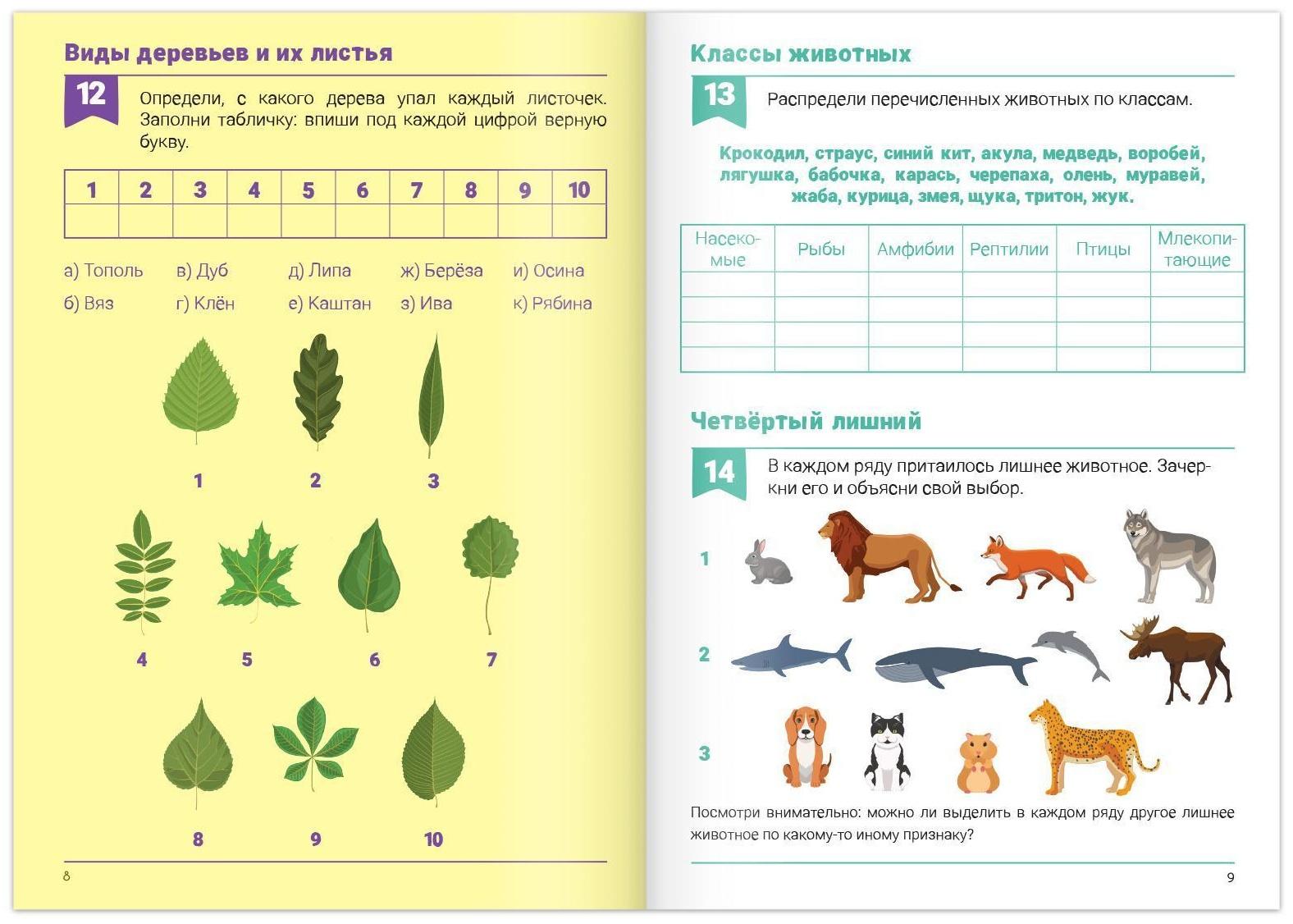 Рабочая тетрадь для 1—2 кл. «Окружающий мир», 20 стр.