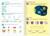 Рабочая тетрадь для 3—4 кл. «Окружающий мир», 20 стр.
