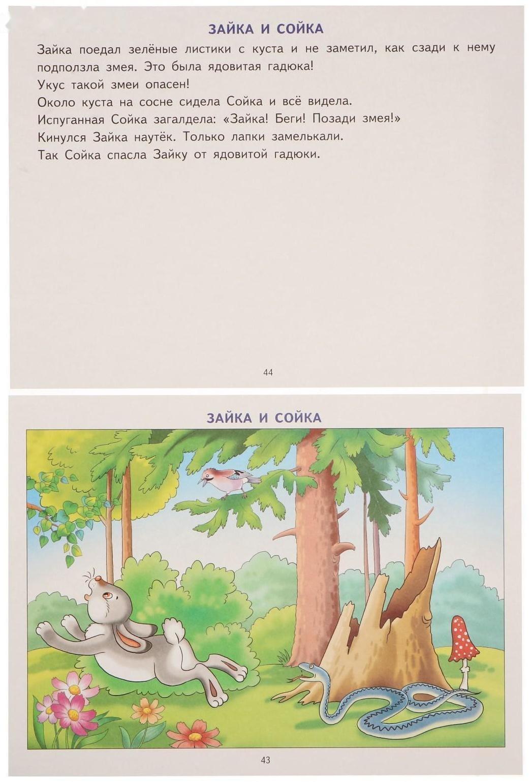 Логопедические уроки. Фонетические рассказы с картинками. Свистящие звуки