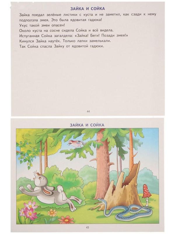 Логопедические уроки. Фонетические рассказы с картинками. Свистящие звуки