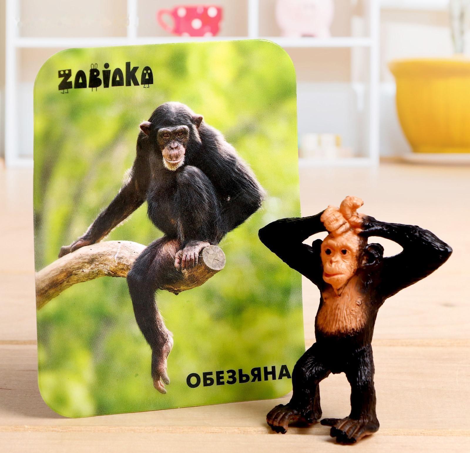 Фигурка «Обезьяна», с обучающей карточкой