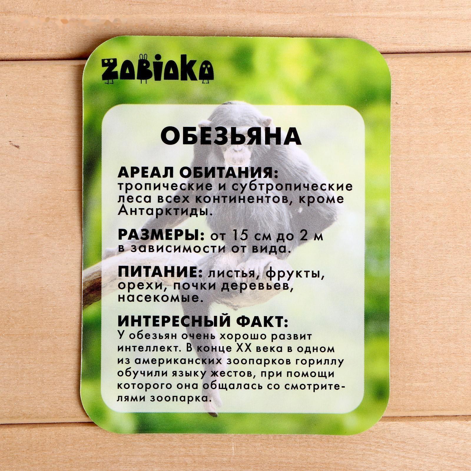 Фигурка «Обезьяна», с обучающей карточкой