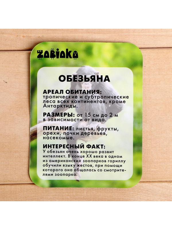 Фигурка «Обезьяна», с обучающей карточкой