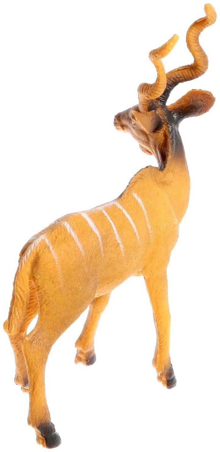 Набор животных «Лесные звери», 6 фигурок