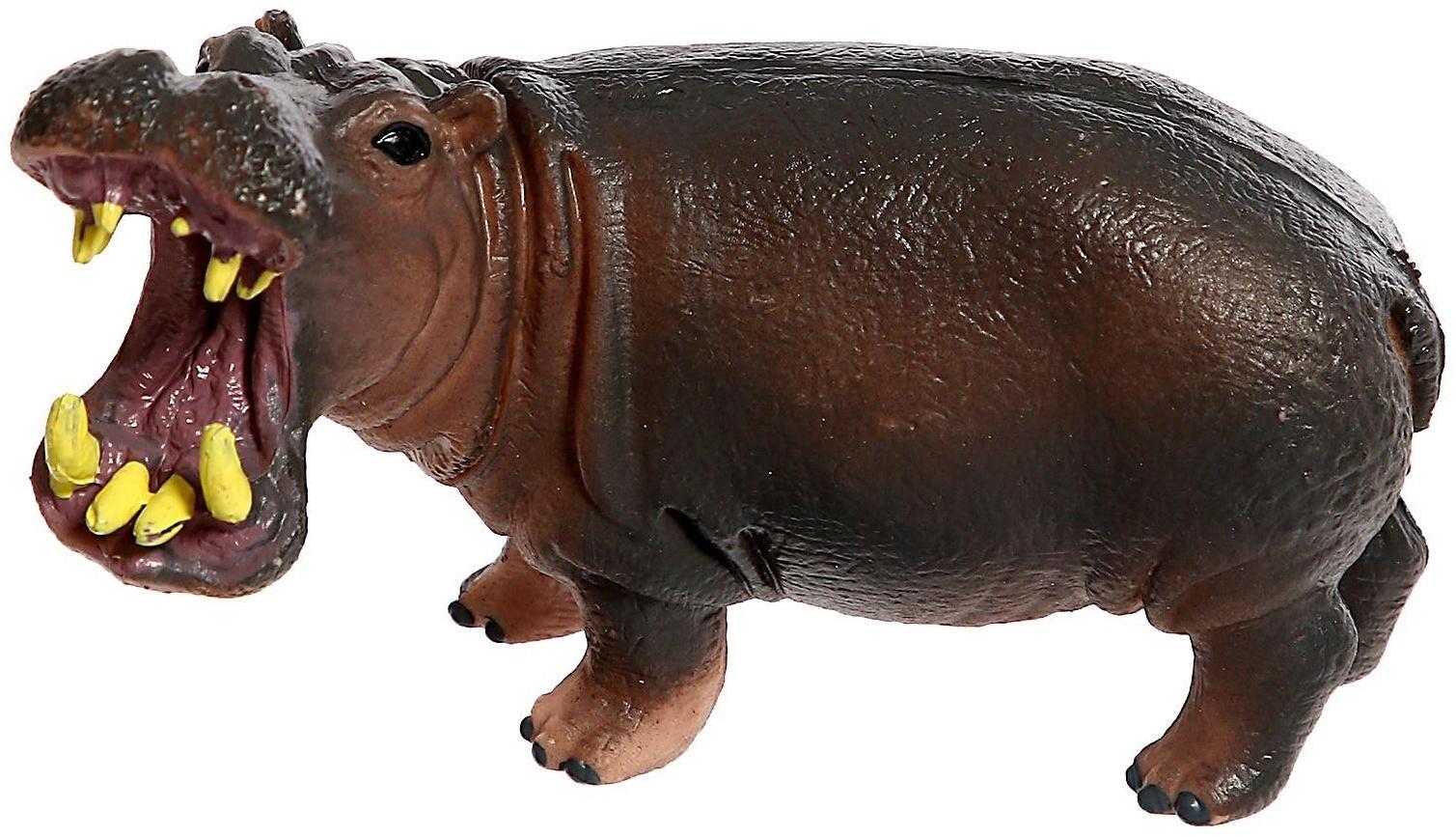 Набор животных «Звери Африки», 6 фигурок