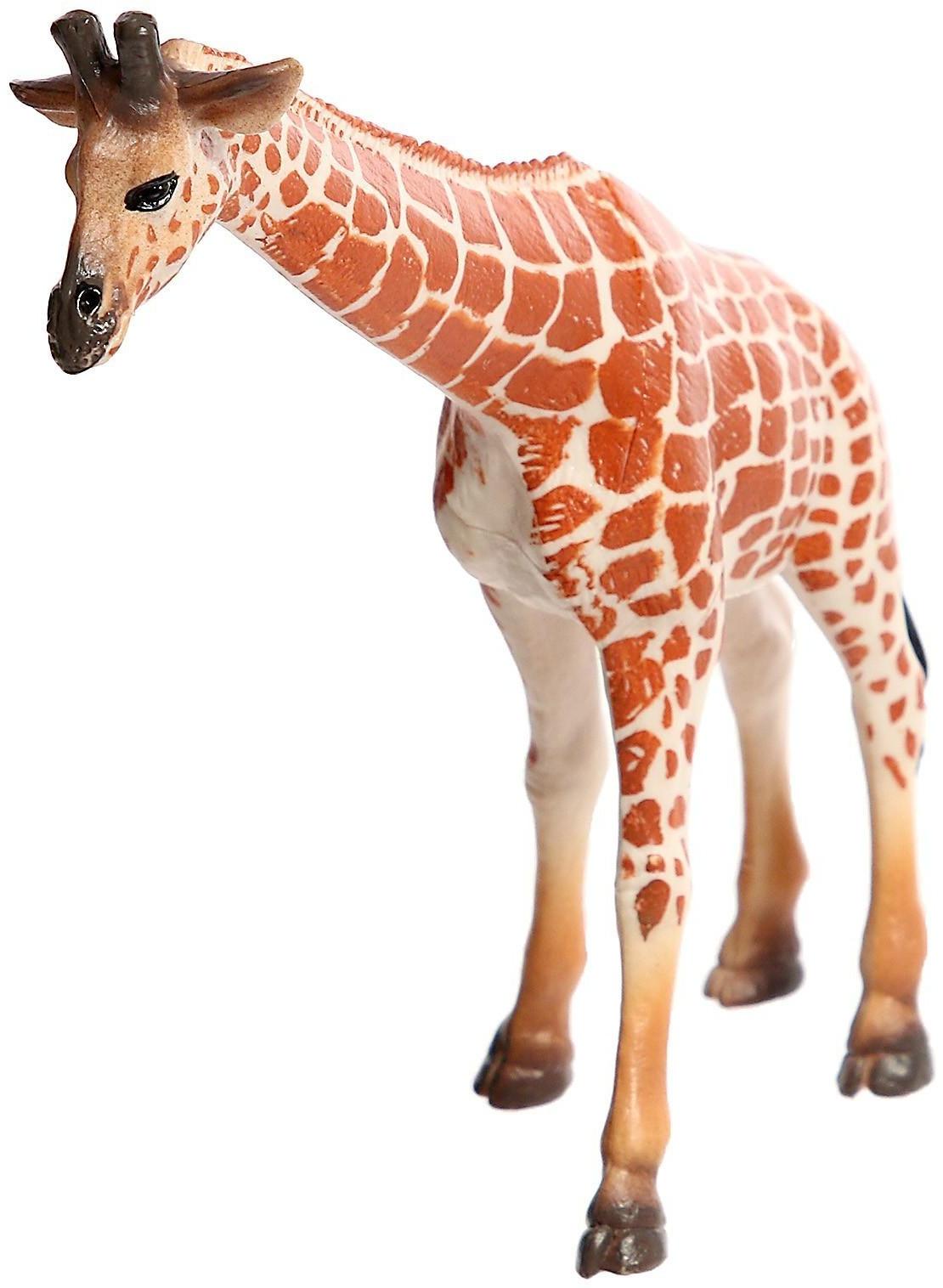 Набор животных «Звери Африки», 6 фигурок