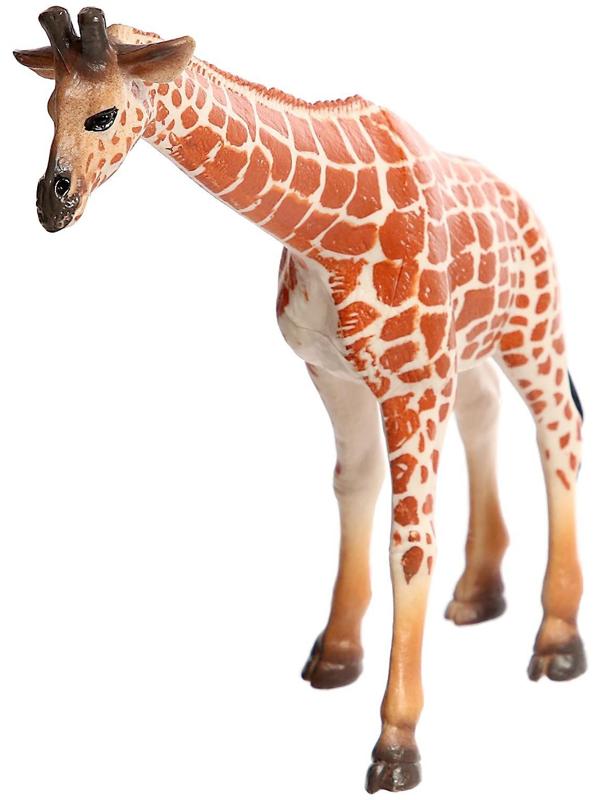 Набор животных «Звери Африки», 6 фигурок