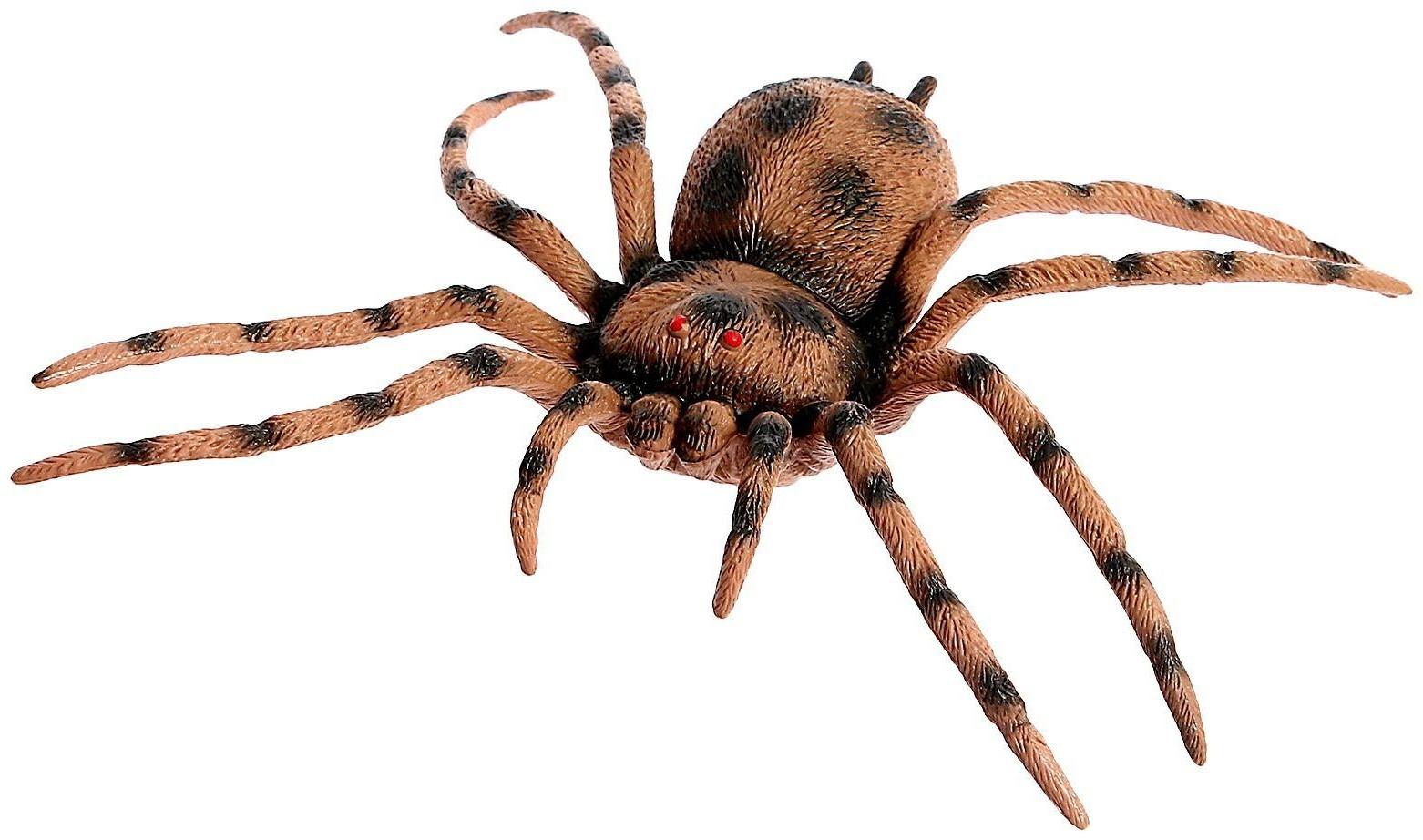 Набор животных «Насекомые», 4 фигурки