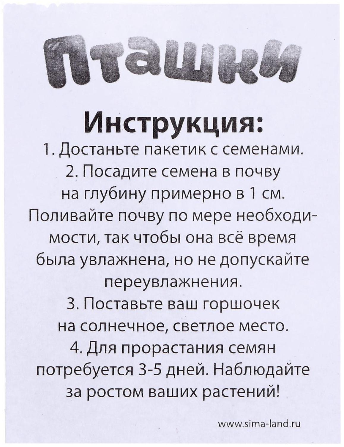 Набор для опытов «Пташки, выращиваем травку», фиолетовый горшочек