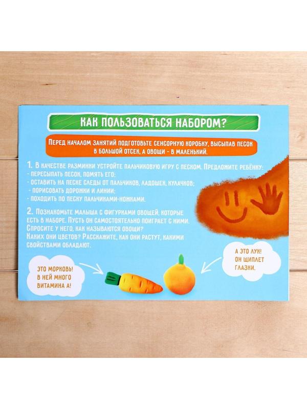 Сенсорная коробка «Весёлый огород»