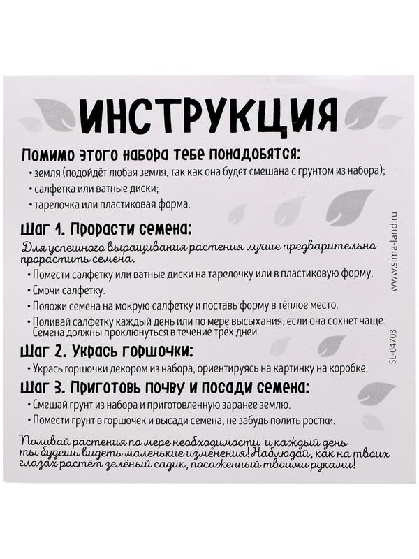 Набор для выращивания травки «Милый садик», принцесса