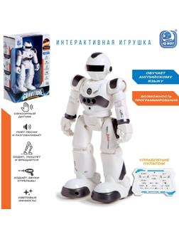 Робот-игрушка радиоуправляемый IQ BOT GRAVITONE, русское озвучивание, цвет серый