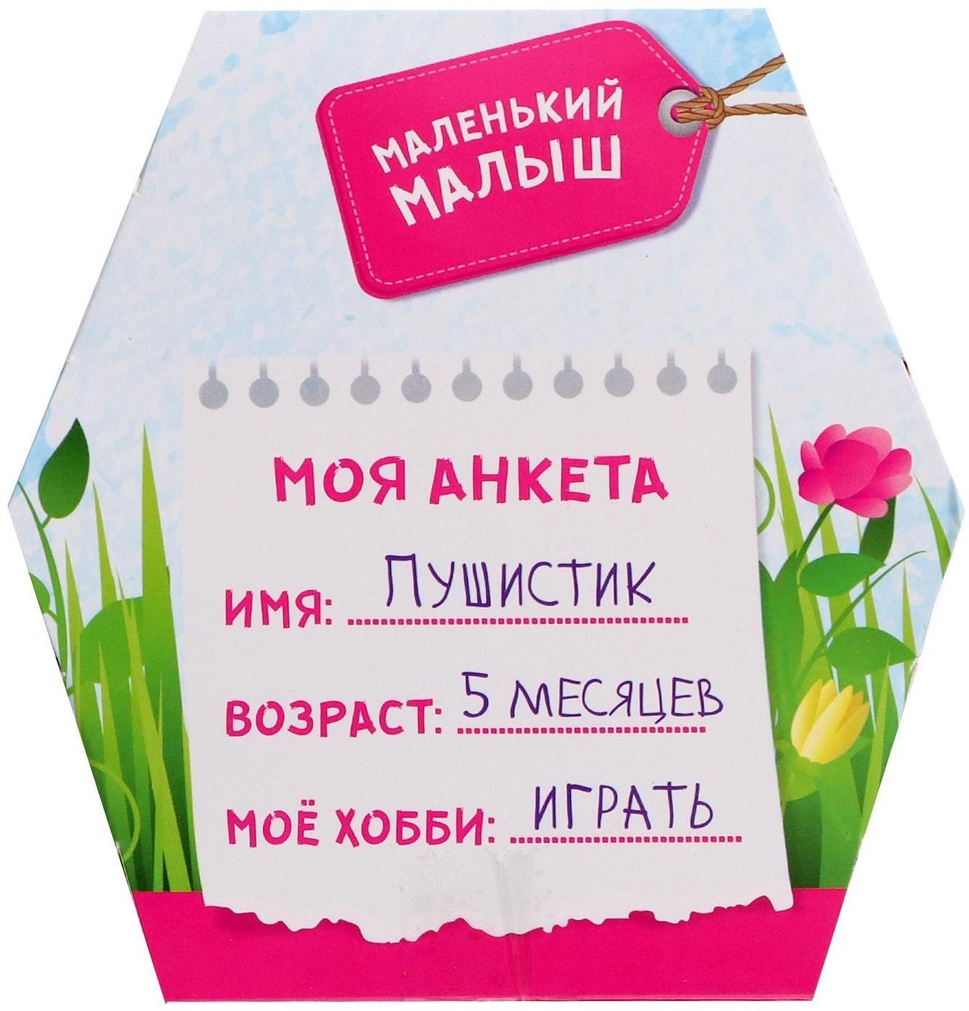 Мягкая игрушка «Лучший друг» в переноске, с аксессуарами, МИКС