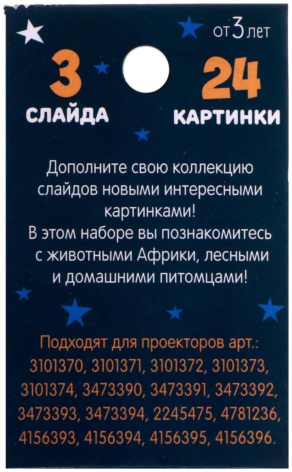 Слайды для проектора «Жители джунглей», набор