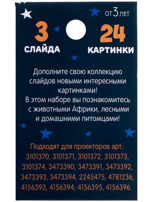 Слайды для проектора «Жители джунглей», набор