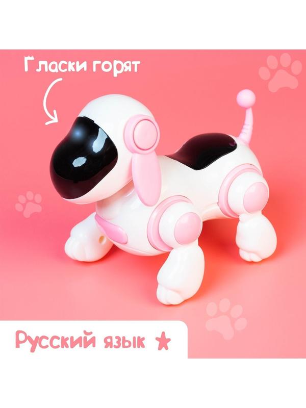 Собачка-робот «Умная Лотти», ходит, поёт, работает от батареек, цвет розовый