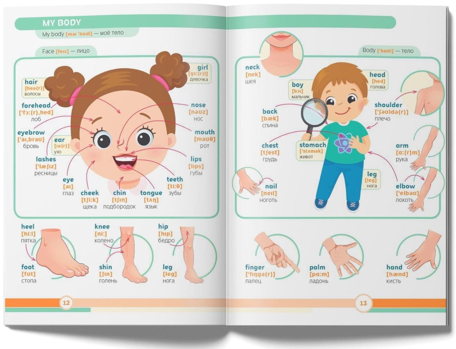 Книга «Первые 500 английских слов», 60 стр.