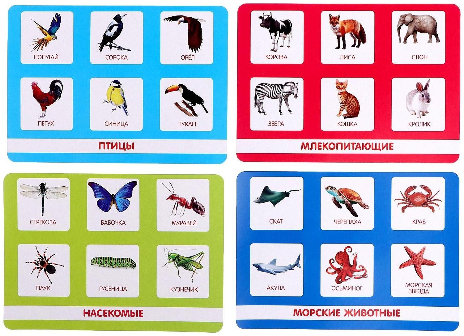Лото «Мир животных» по методике Г. Домана