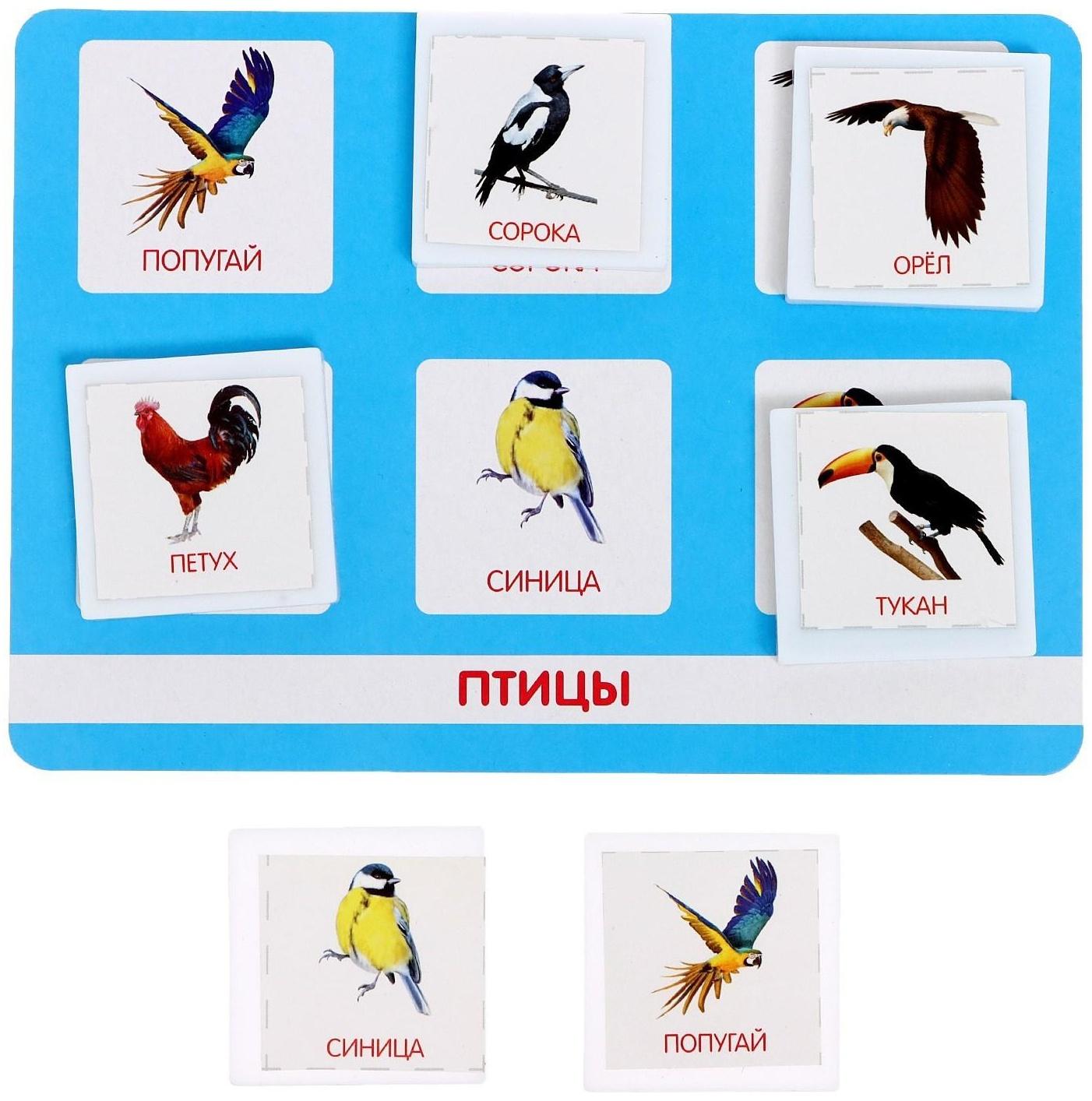 Лото «Мир животных» по методике Г. Домана