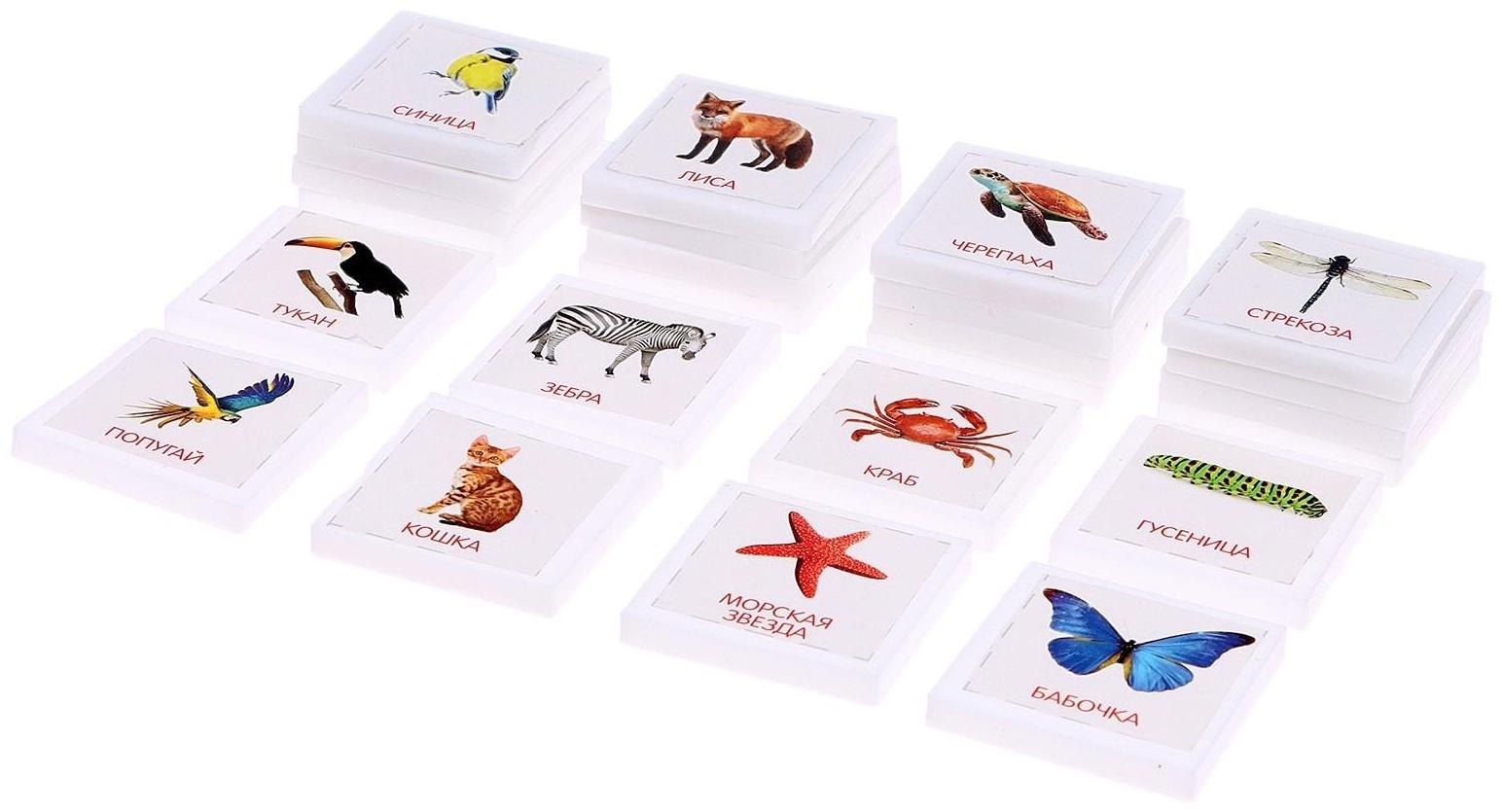 Лото «Мир животных» по методике Г. Домана