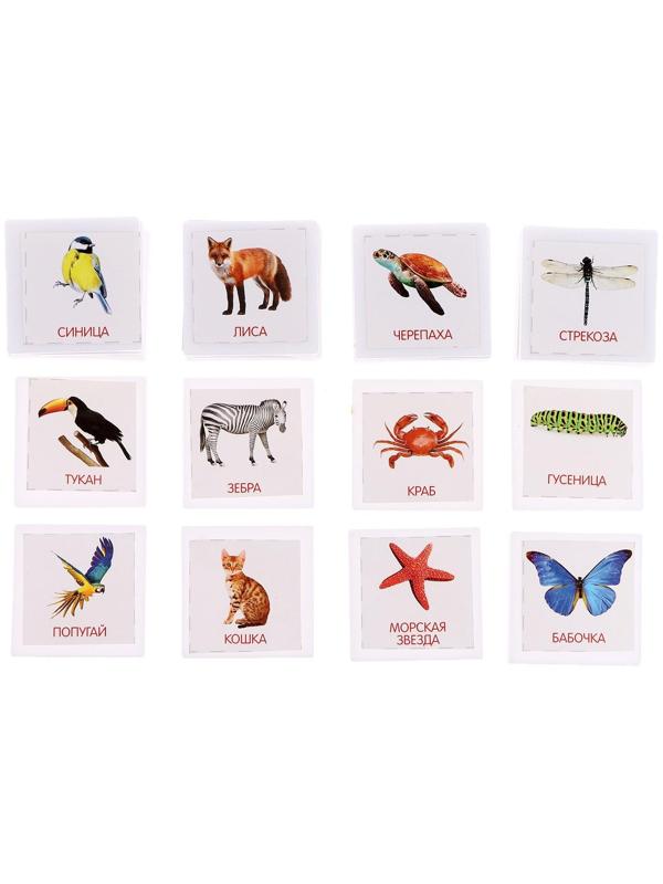 Лото «Мир животных» по методике Г. Домана