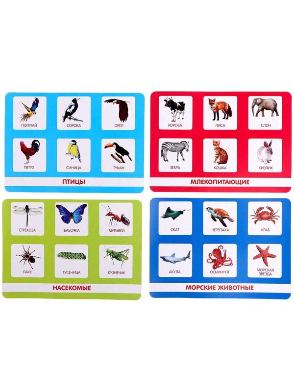 Лото «Мир животных» по методике Г. Домана