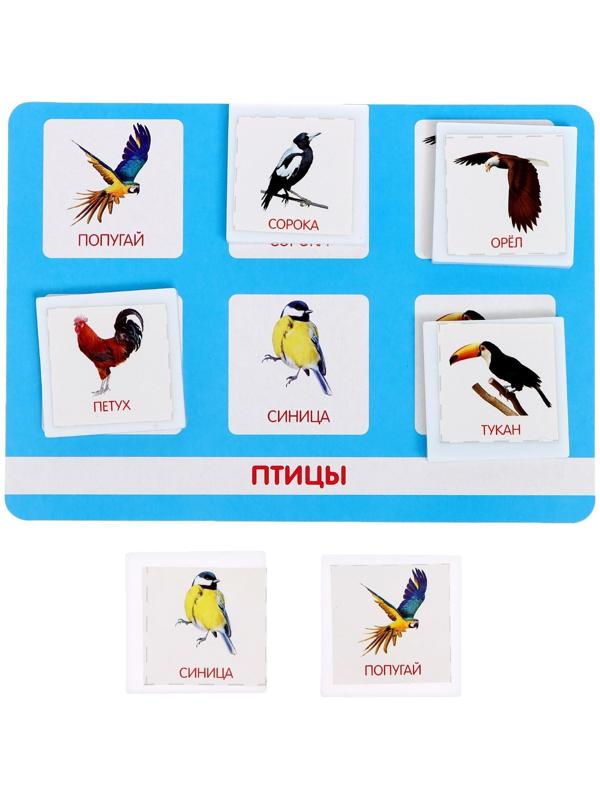 Лото «Мир животных» по методике Г. Домана