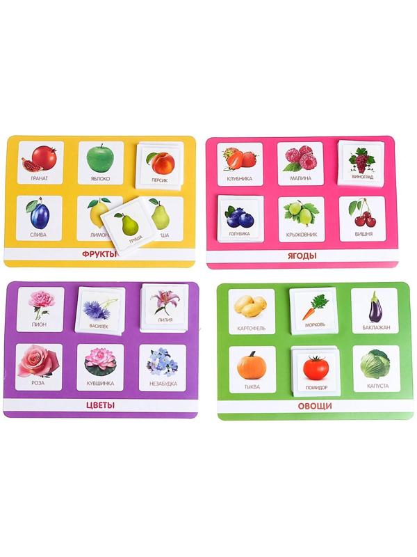 Лото «Растительный мир» по методике Г. Домана