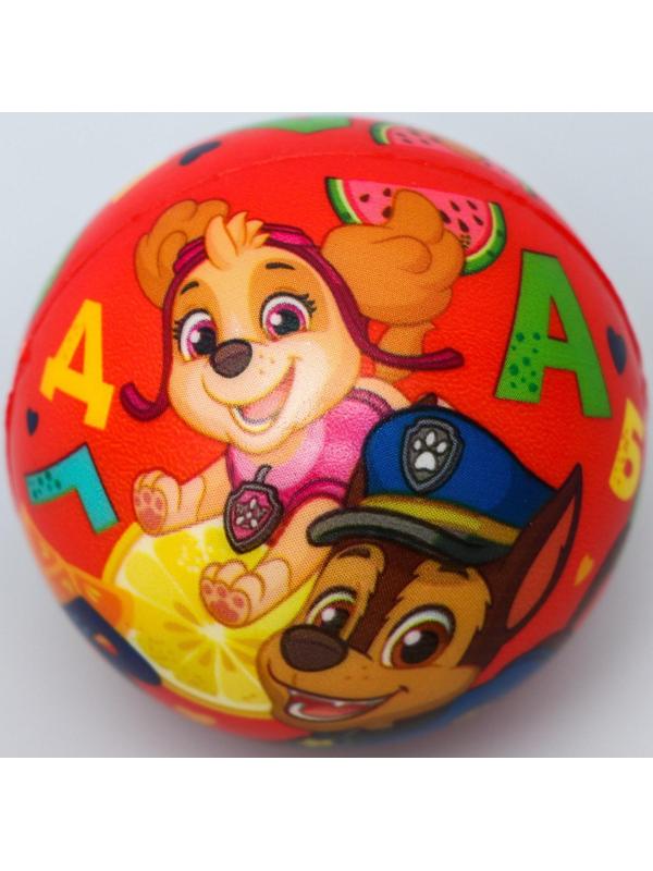 Мягкий мяч Paw Patrol «Алфавит», 6,3см, МИКС