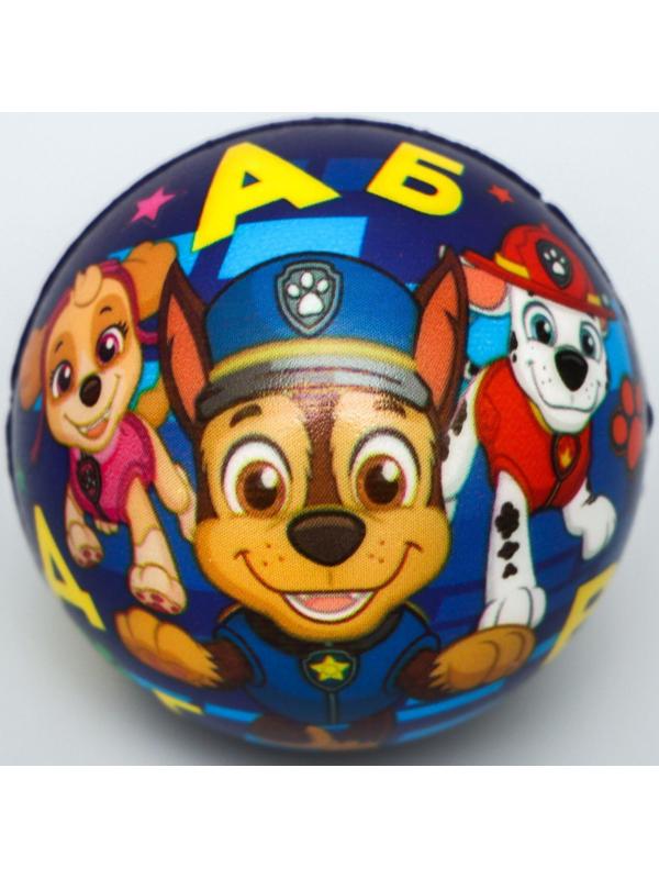 Мягкий мяч Paw Patrol «Алфавит», 6,3см, МИКС