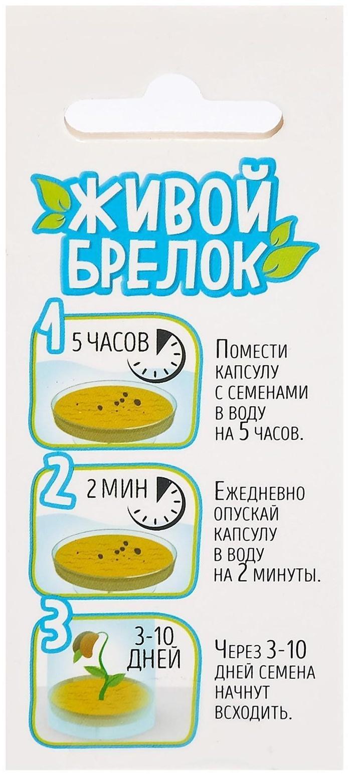 Набор для опытов Живой брелок